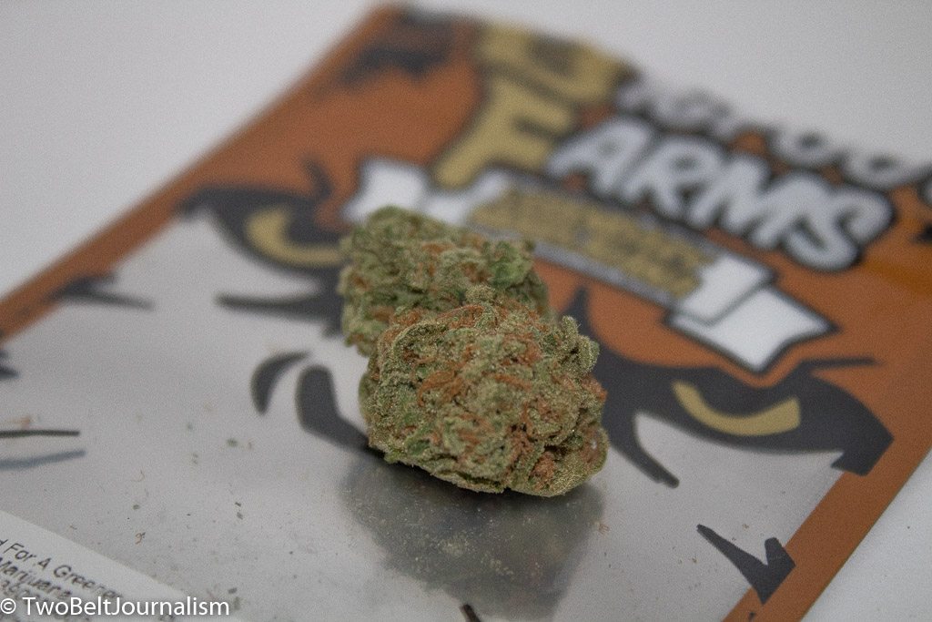 A Review of The Walter White Strain From Bigfoot Farms