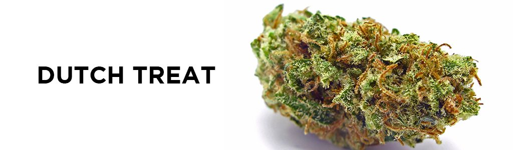Strain Recommendation: Dutch Treat From Green Acres Pharm