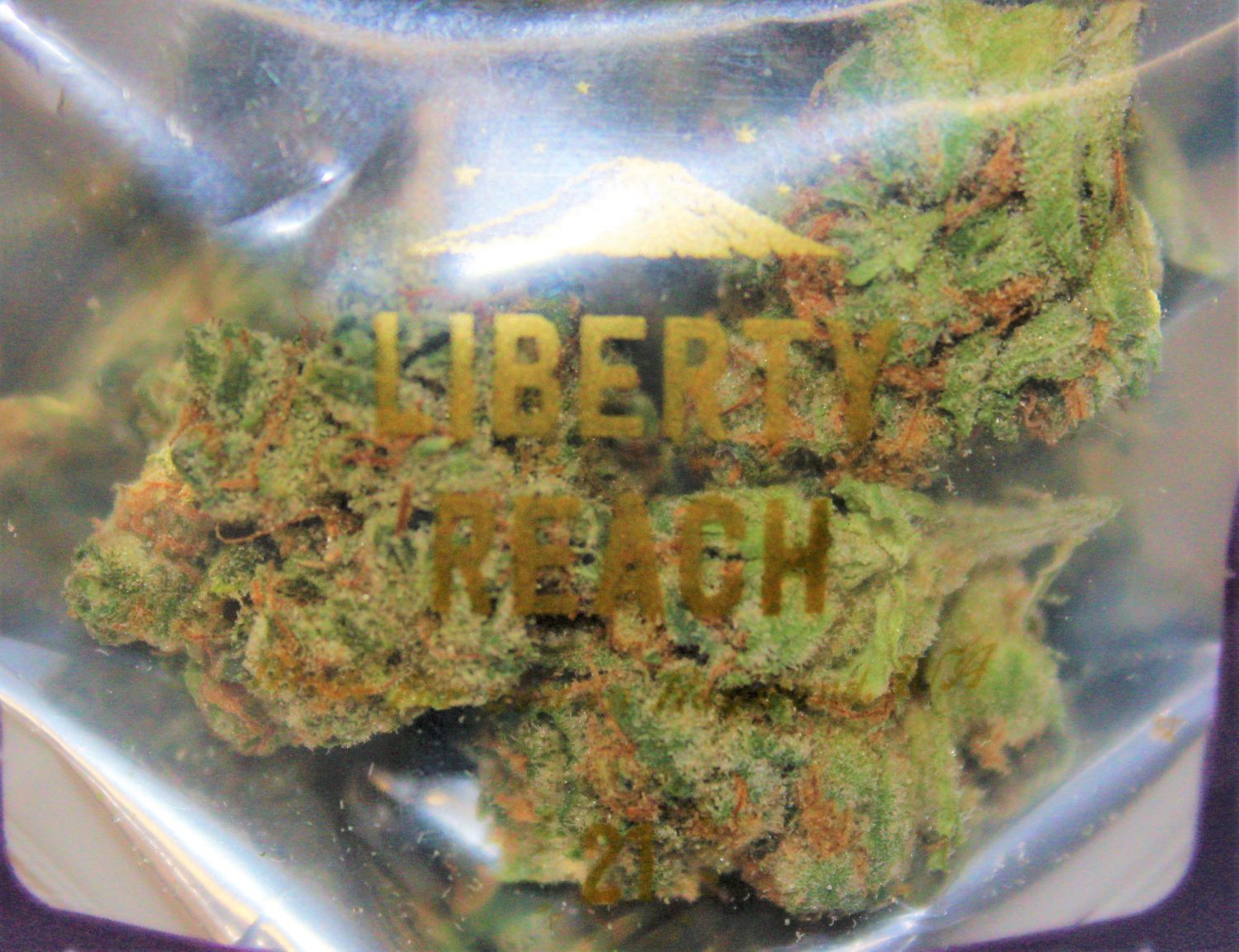 A Real Review of Frosted Cherry Cookies from Liberty Reach