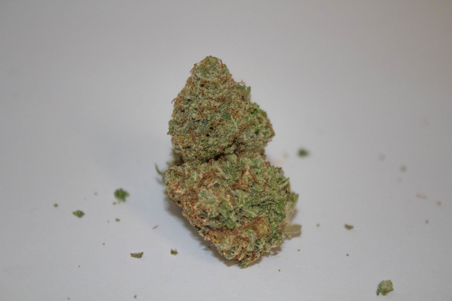 A Real Review of Sweet Water Farms Kush Master Strain
