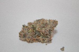 Learn More About Gabriel's Rainbow Sherbet Strain