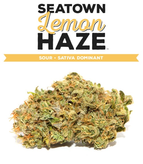 Why You Should Order The Seatown Lemon Haze Strain Today!