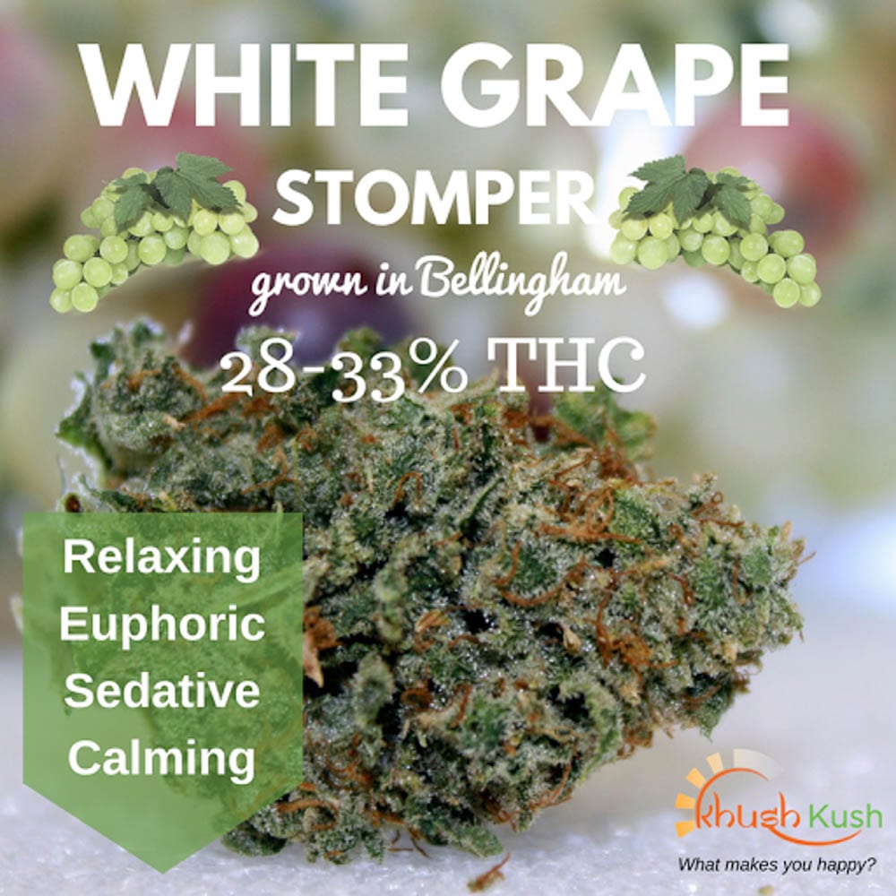 Learn More About Khush Kush’s White Grape Stomper Cannabis Strain