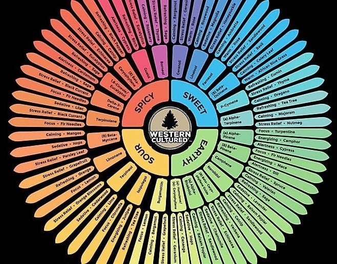 Learn More About The Western Cultured Strain Flavor Wheel