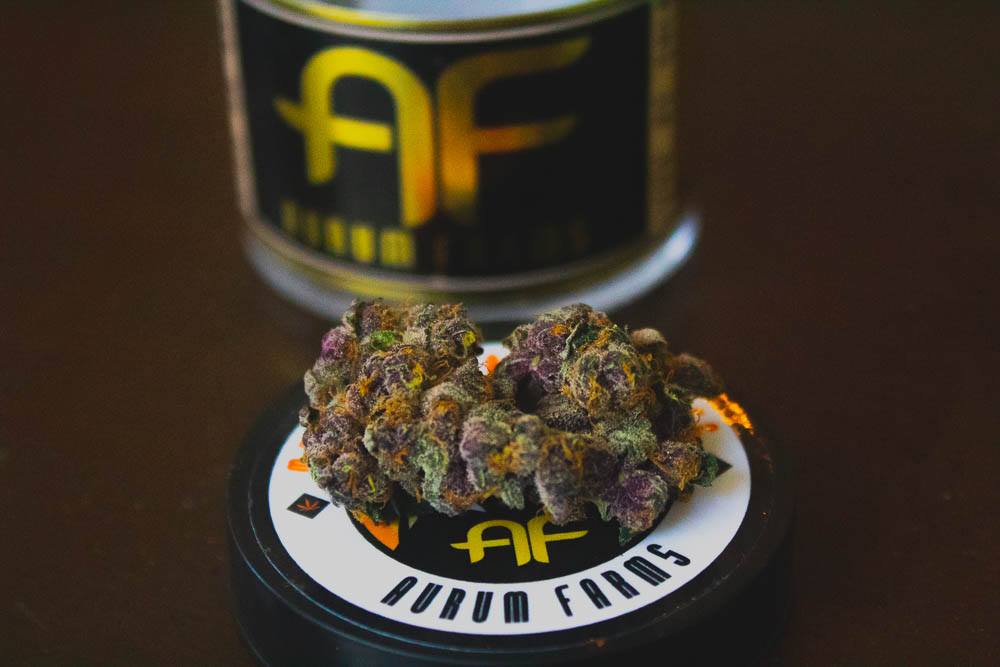Aurum Farms: Award-Winning Cannabis That’s “Good As Gold”
