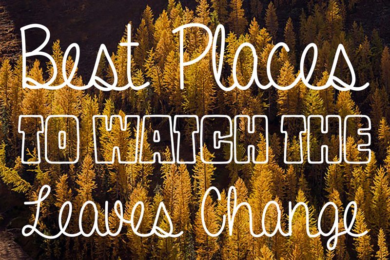 best places to watch leaves change near everett kushmart