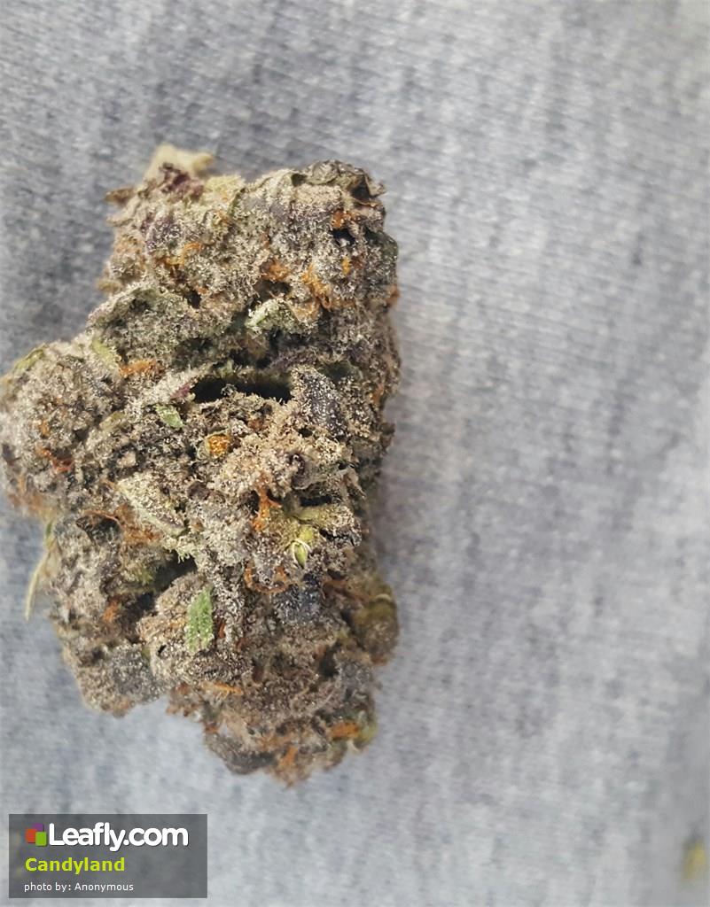 A Real Review of Candyland From Sweet Water Farms