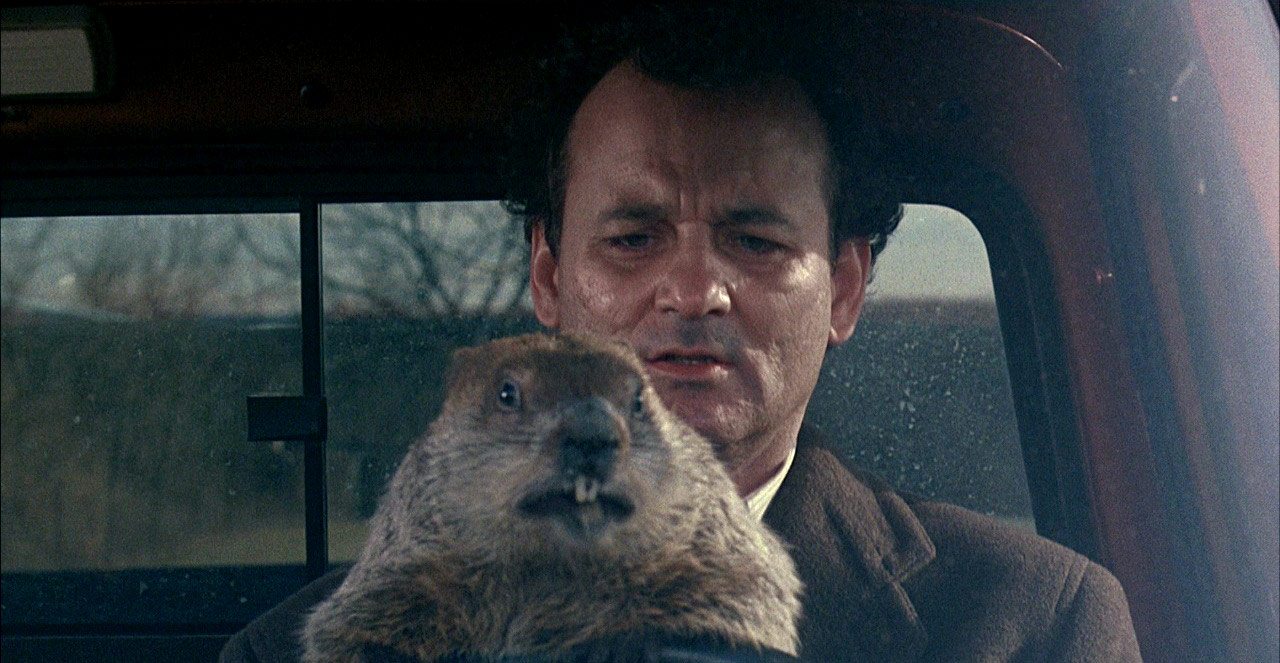 Weed to Try Again and Again – Groundhog Day with KushMart