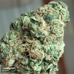 Some of The Best Kush Strains on Planet Earth