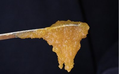 What is Rosin?